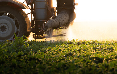 Tractor spraying soybean crops field