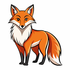 red fox vector illustration