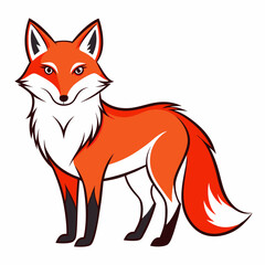 red fox vector illustration