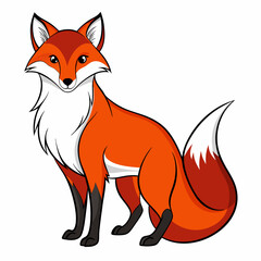 red fox vector illustration
