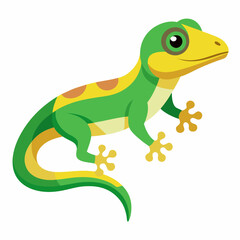 Fototapeta premium gecko on a white background