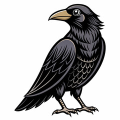 eagle on a white background