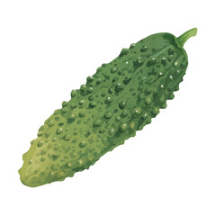 水彩で描いたゴーヤのイラスト