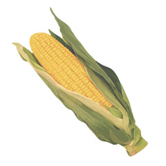 水彩で描いたとうもろこしのイラスト
