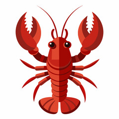 crayfish on white background