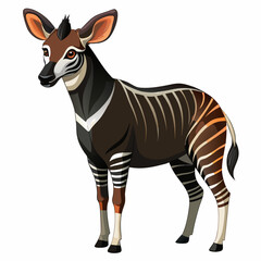 zebra isolated on white