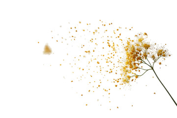 Abstract Explosion of a Golden Flower