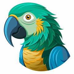blue and yellow macaw