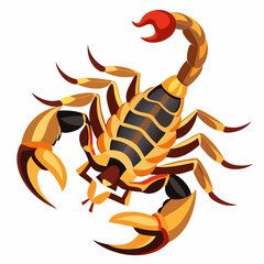 scorpion vector illustration