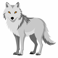 wolf isolated on white