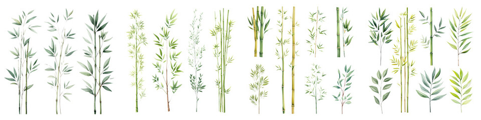 Assorted green plants and foliage in a minimalist natural arrangement