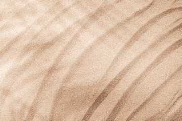 A tropical summer background featuring soft beach sand with delicate palm leaf shadows
