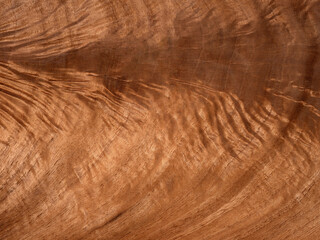Walnut feather wood texture surface in close up