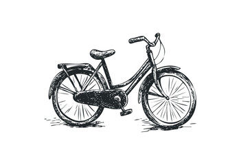 Fototapeta premium Vintage bicycle sketch with detailed hand-drawn features. Vector retro hand drawn illustration