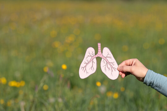 Lung with tuberculosis, long covid or asthma disease, cancer cells, virus and air pollution, no tobacco day, organ donation