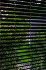 Window with blinds in room, closeup. High quality photo