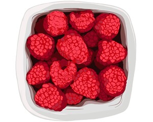 illustration of red ripe raspberries in red shades in a white plate on a white background