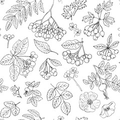 Nature motifs. Flowers, leaves. Vector pattern on white background. Line drawing