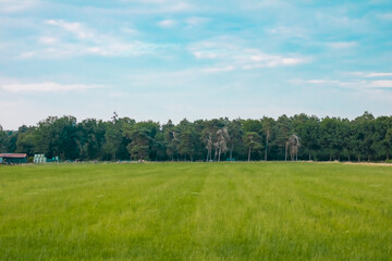 Pasture landscape. View on meadows behind two trees, a meadow gate and a ditch. the Dutch village Netherlands. High quality photo
