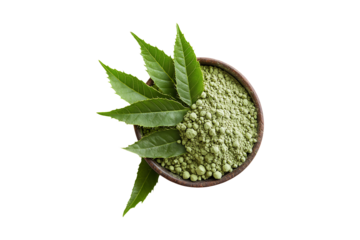 Medicinal neem leaves with extract isolated on transparent background