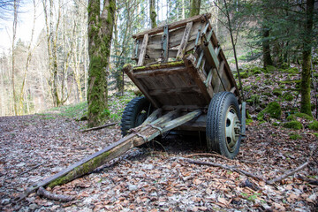 Alter Holzwagen im Wald