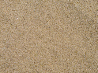 Sandy beach top view. Background