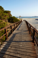 Fototapeta premium Footbridge to the beach of La Pelosa in Stintino, Sardinia, Italy