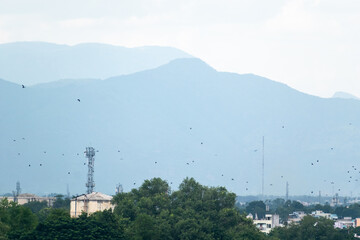 A panoramic view of the mountains surrounding Madurai showcases numerous birds gliding above the city.