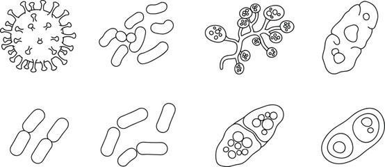 Microbial organisms, viruses, bacteria, fungi, and parasites illustrated in a simple line art, scientific biological research, isolated on white background flat vector illustration