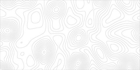 White topology topography vector art abstract. Vector geographic contour map. stylized relief diagram line wave carve pattern background. Topographic Maps can be used backgrounds for brand projects.	