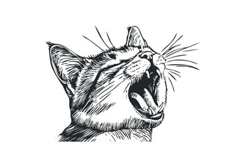Obraz premium Yawning cat sketch in detailed black and white illustration. Vector retro hand drawn illustration