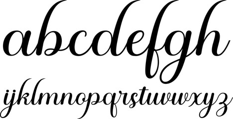 A full set of ornate lowercase calligraphy script letters in an elegant cursive style. Perfect for wedding invitations, luxury branding, monograms, certificates, and vintage or decorative design