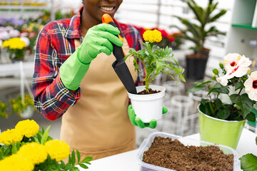 A florist in a shop replants a flower into a new pot with gardening tools.