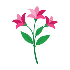 Elegant Pink Lily Flowers Illustration Simple Floral Design