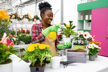A smiling African American woman wearing gloves waters potted plants inside a bright greenhouse.