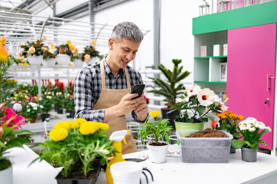 A smiling man in an apron uses his smartphone to take a photo of plants in a greenhouse.