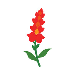 Vibrant Red Snapdragon Flower Illustration Botanical Art Print