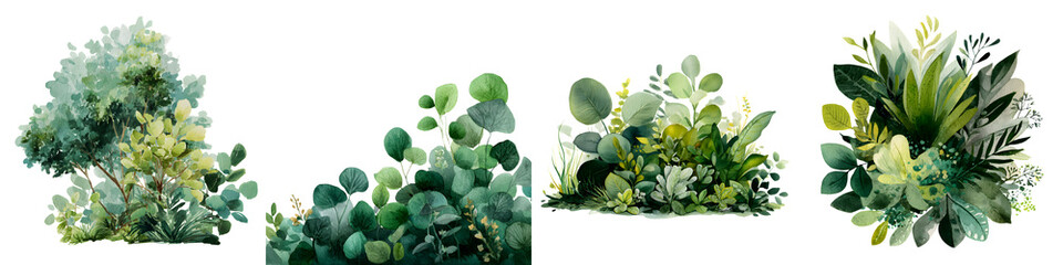 Lush greenery and vibrant foliage