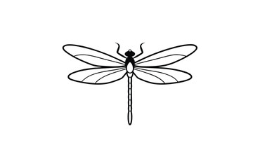 Detailed Dragonfly with Wings Insect Nature Drawing Line Art
