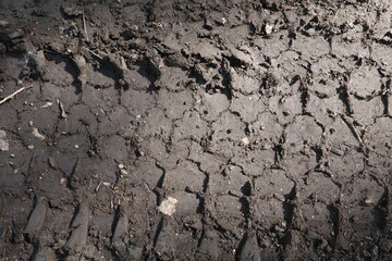 Tire of truck tire in mud. natural texture