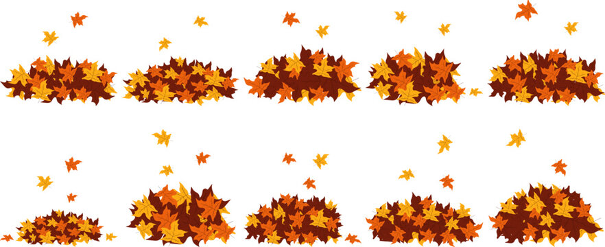 Autumn Leaf Pile 
