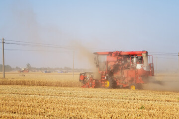 Fototapeta premium Wheat Harvesting Machine in Field