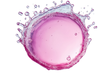 The burst of cosmic rose Liquid jewel explosion in vivid pink with a stark black backdrop and bright isolated on transparent background. Generative Ai.