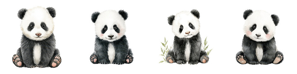 Obraz premium Adorable panda bears sitting in natural habitat