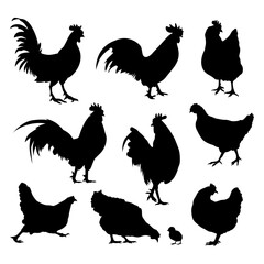 collection of chicken silhouettes