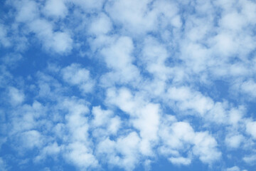 Impressive White Fluffy Clouds Scattered across Blue Sky