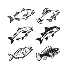 Diverse Black and White Fish Silhouette Set - Collection of Fishing and Seafood Vector Icons