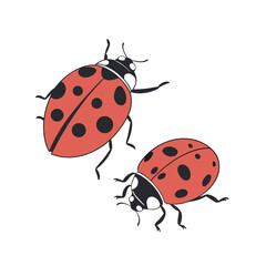 Two Adorable Red Ladybugs Illustration - Cute Insects with Black Spots for Nature Designs
