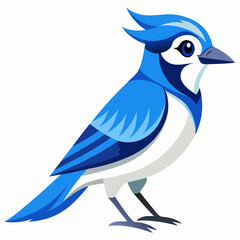 blue bird vector illustration