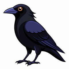 crow on a white background
